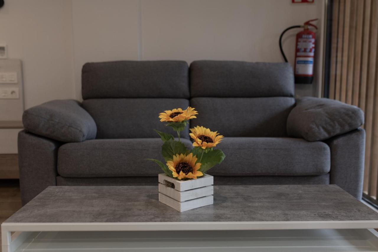 Apartment Loft En Con Parking Hator 1 Zarautz